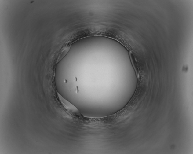X0000096971153200802151302
