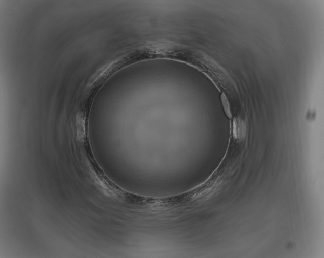 X0000096971155200802151302