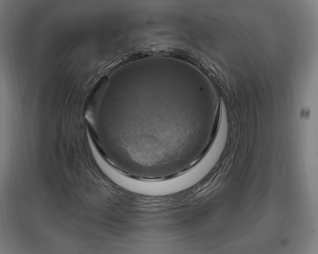 X0000096971156200802151302