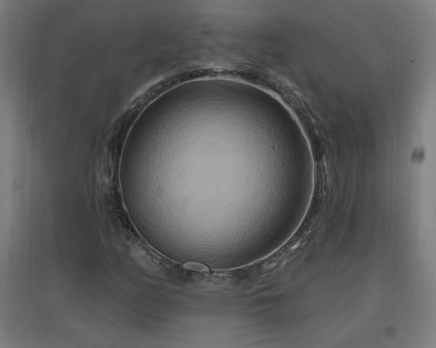 X0000096971158200802151302