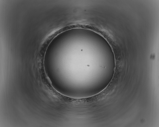 X0000096971159200802151302