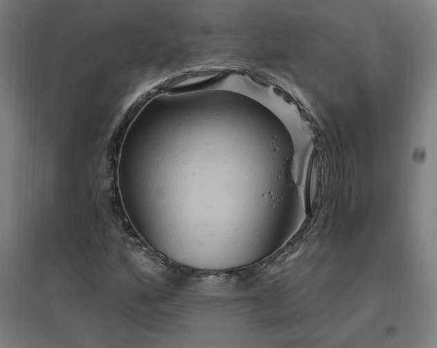 X0000096971160200802151302