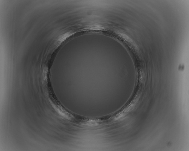 X0000096971161200802151302