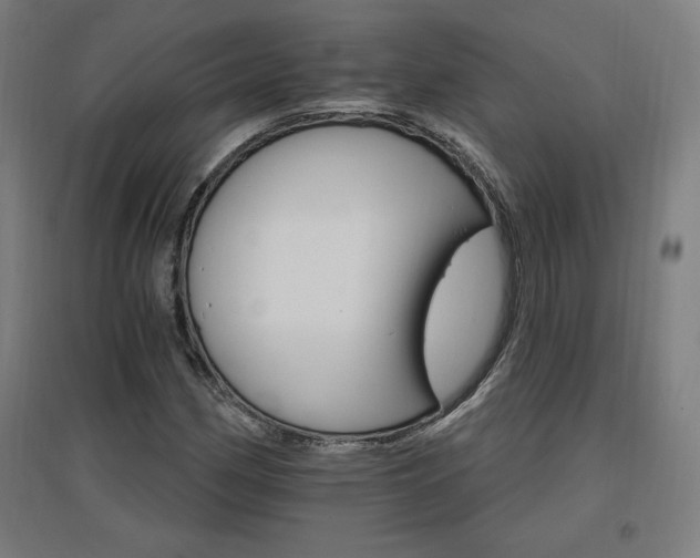 X0000096971162200802151302