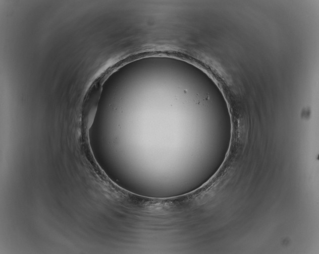X0000096971165200802151302