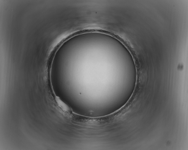 X0000096971167200802151302