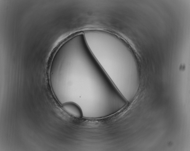 X0000096971168200802151302