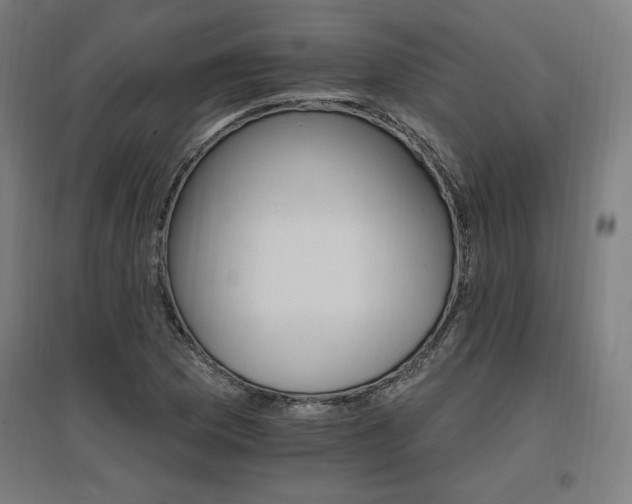 X0000096971169200802151302