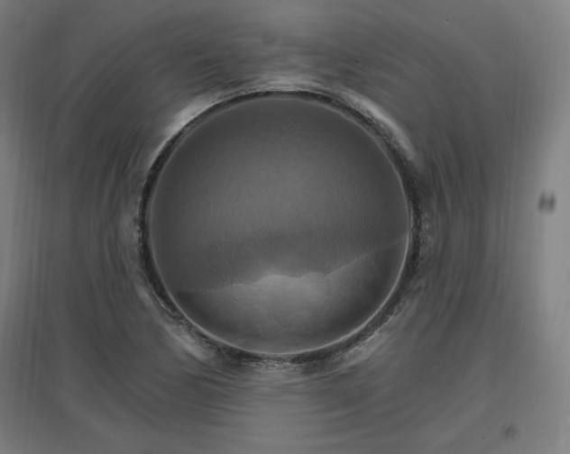 X0000096971170200802151302