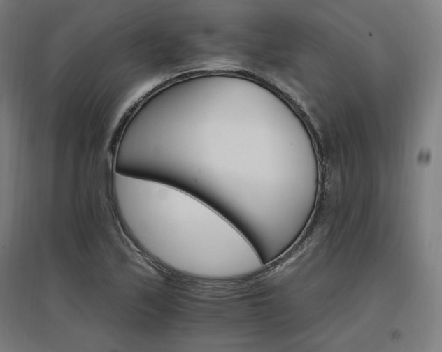 X0000096971171200802151302