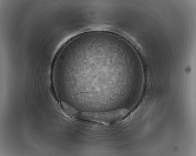 X0000096971174200802151302