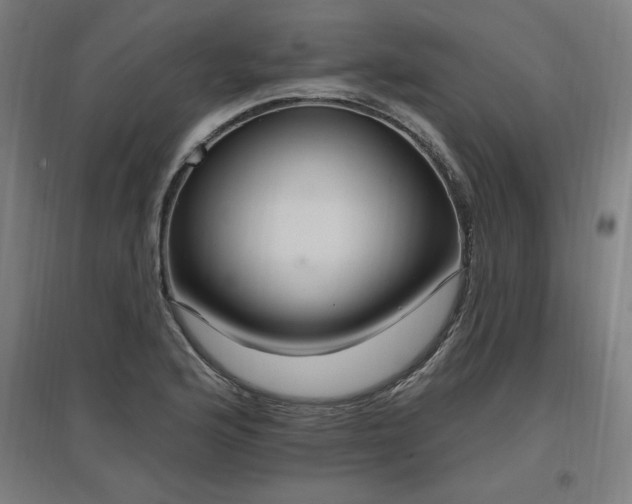 X0000096971176200802151302