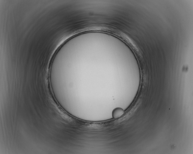 X0000096971178200802151302