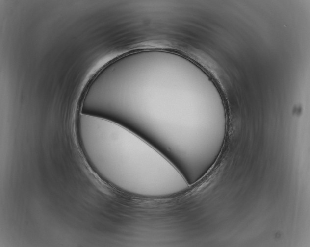 X0000096971179200802151302