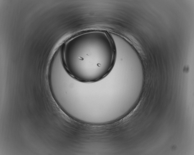 X0000096971180200802151302