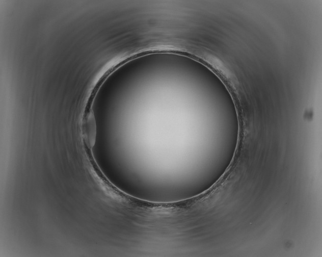 X0000096971181200802151302