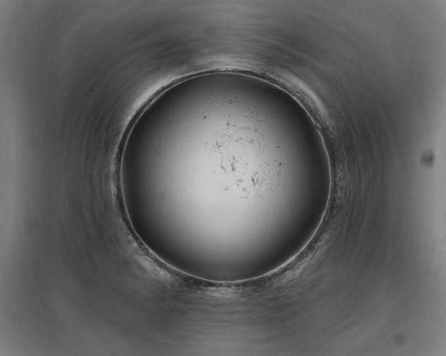 X0000096971182200802151302