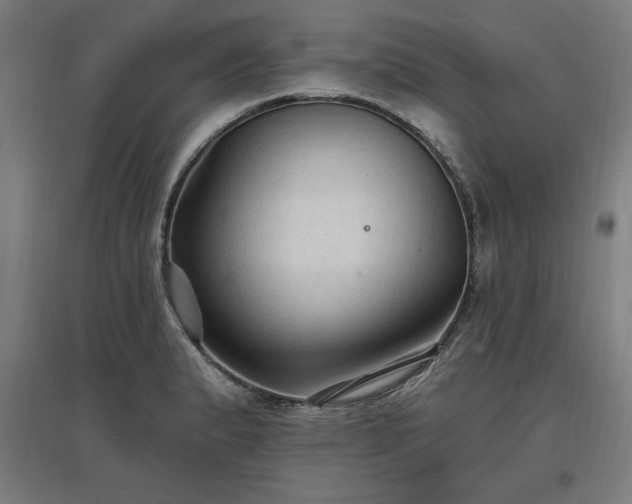 X0000096971183200802151302