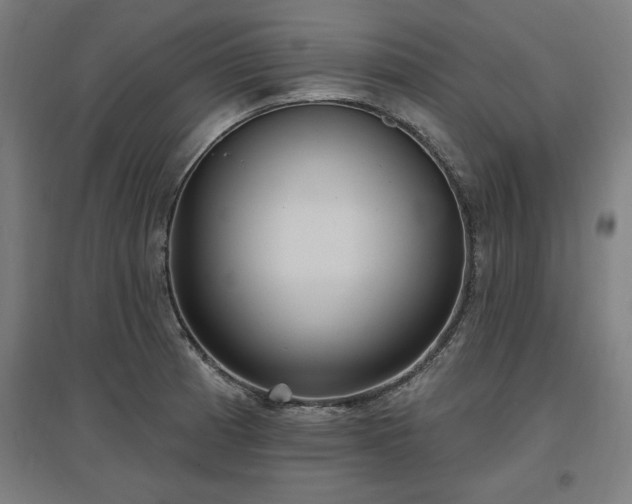X0000096971185200802151302