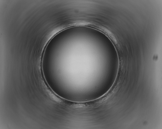 X0000096971186200802151302