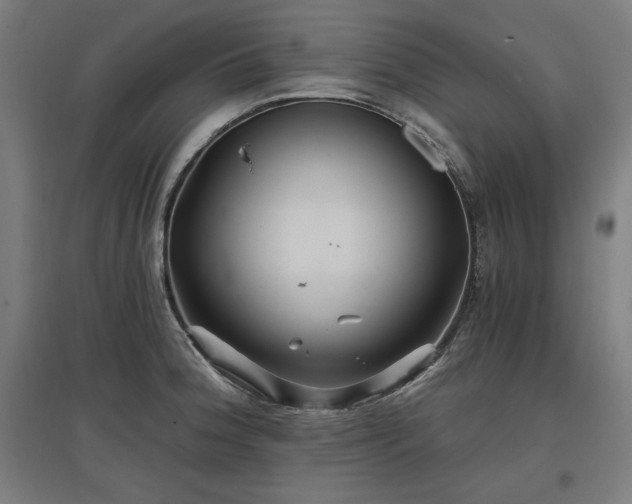 X0000096971188200802151302