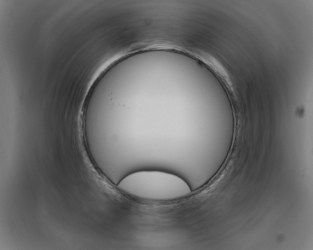 X0000096971190200802151301