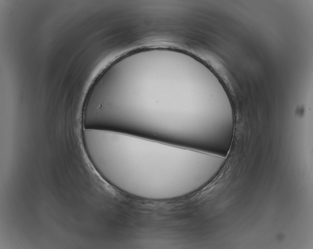 X0000096971191200802151301