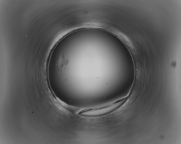 X0000096971192200802151301