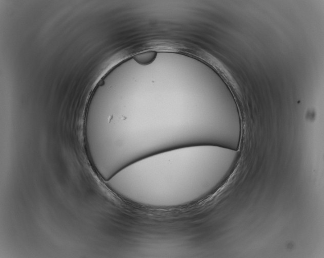 X0000096971194200802151301
