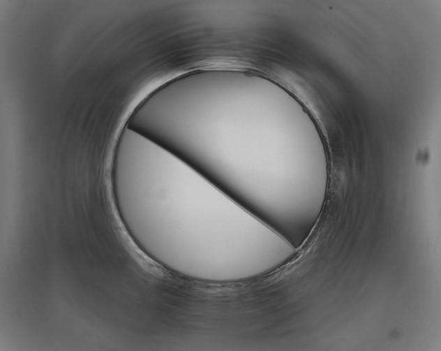 X0000096971195200802151301