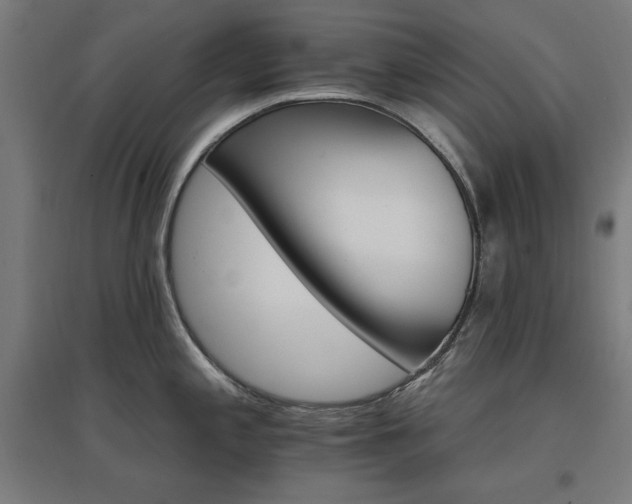 X0000096971197200802151301