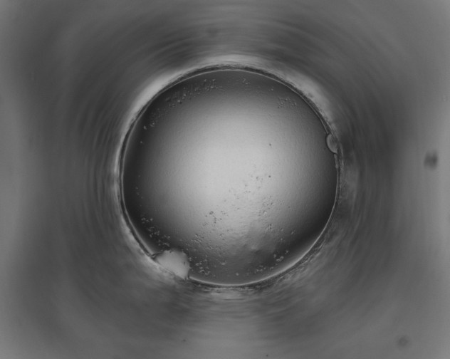 X0000096971199200802151301