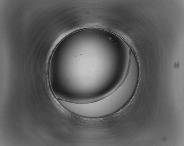 X0000096971200200802151301