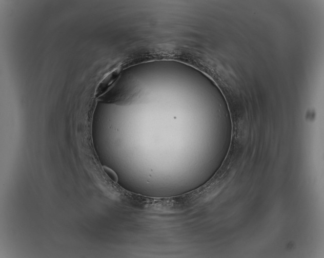 X0000096971201200802151301