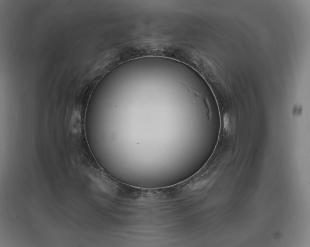 X0000096971203200802151301