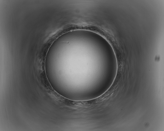 X0000096971205200802151301
