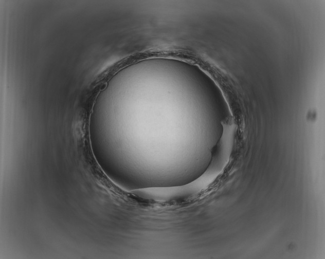 X0000096971206200802151301