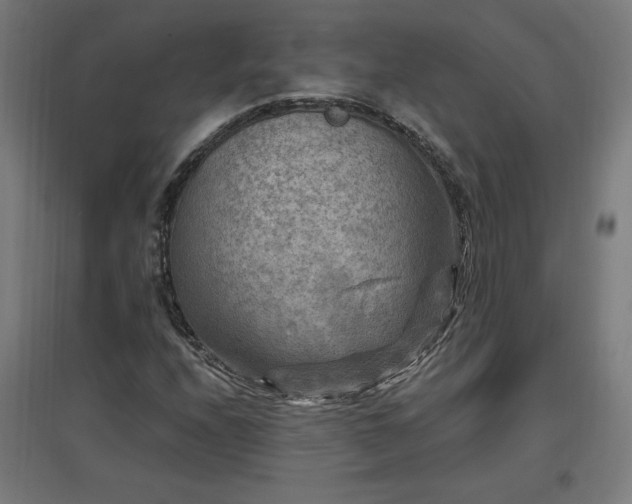 X0000096971208200802151301