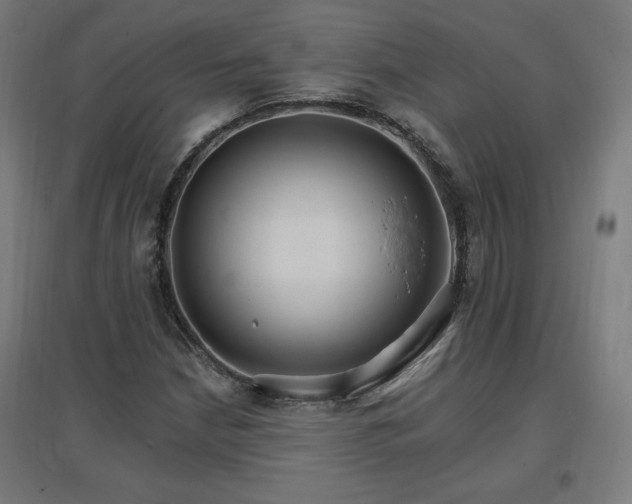 X0000096971210200802151301