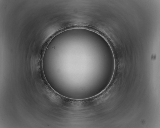 X0000096971211200802151301