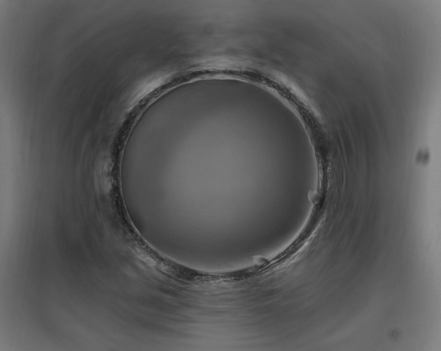 X0000096971213200802151301