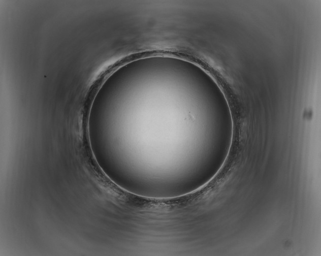 X0000096971214200802151301