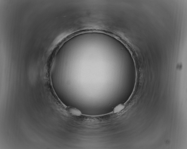 X0000096971215200802151301
