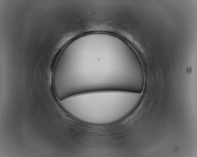 X0000096971221200802151301