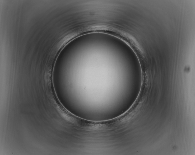 X0000096971225200802151301
