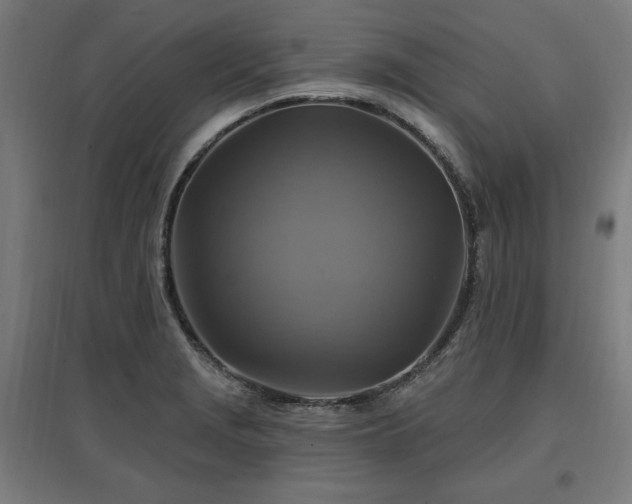 X0000096971229200802151301