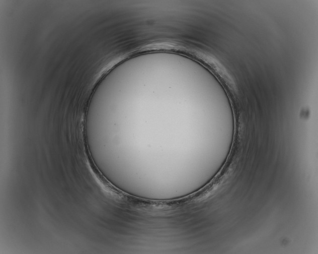X0000096971233200802151301