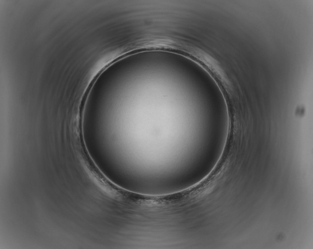 X0000096971234200802151301