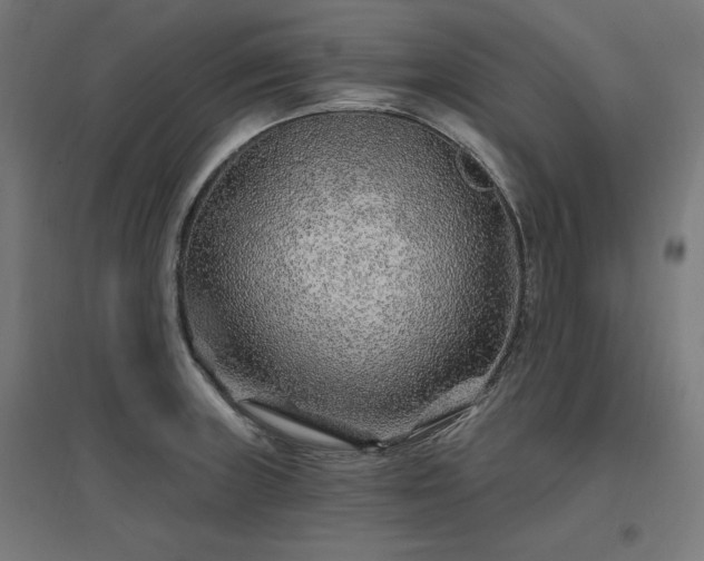 X0000096971235200802151301