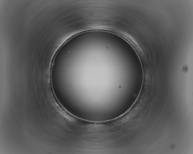 X0000096971236200802151301